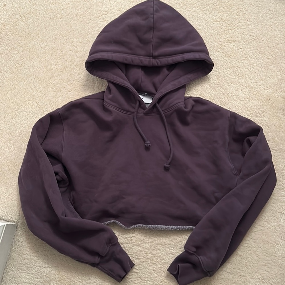 Aritizia TNA Cozy Fleece Boyfriend Cropped Hoodie